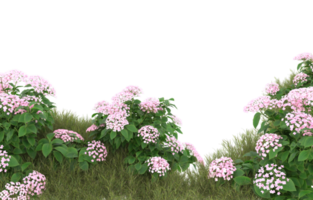 Realistic foliage isolated on transparent background. 3d rendering - illustration png