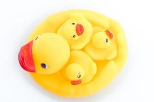 Family duck toy photo