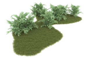 Realistic foliage isolated on transparent background. 3d rendering - illustration png