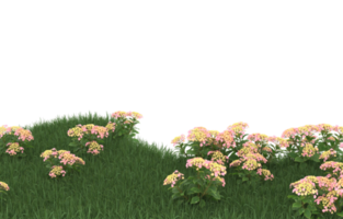 Realistic foliage isolated on transparent background. 3d rendering - illustration png