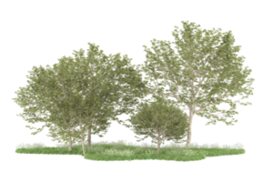 Realistic forest isolated on transparent background. 3d rendering - illustration png