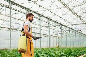 Young greenhouse worker in yellow uniform watering plants by using special equipment inside of hothouse photo