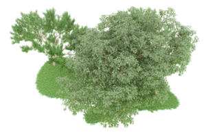 realistico foresta isolato su trasparente sfondo. 3d interpretazione - illustrazione png