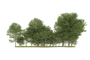 realistico foresta isolato su trasparente sfondo. 3d interpretazione - illustrazione png