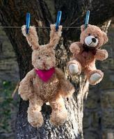 hare with long ears and a brown teddy bear hang on a clothesline after washing photo