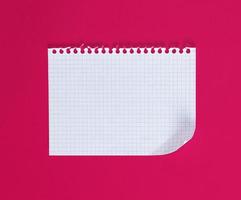 empty rectangular sheet torn out of notepad photo