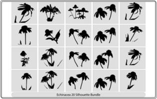 iconos de glifo plano de hierbas médicas. plantas medicinales equinácea vector