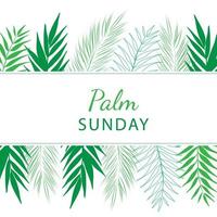 domingo de palma - plantilla de banner de saludo para festividad cristiana, con fondo de hojas de palmera. vector