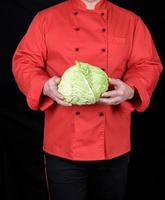 chef in a red uniform holds a whole cabbage photo