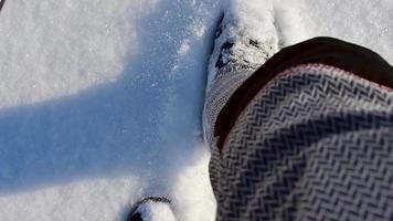 punt van visie snowboarder gekleed in een vol beschermend uitrusting voor extreem gratis rit snowboarden poseren met een snowboard wandelen. geïsoleerd Aan grijs wit sneeuw achtergrond. video