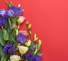 fresh blooming flowers Eustoma Lisianthus on red paper background photo