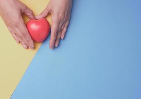 Female hands holds red heart, blue yellow background. Love and donation concept, top view photo