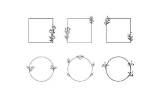 Floral decorative vector frame. Circle and square shaped frame. Elegant ornaments.