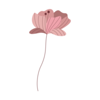 illustration of pink flower png