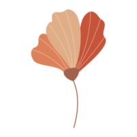 Herbstblume isoliert png