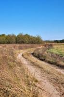 camino de arena en medio de la estepa ucraniana en un día de otoño foto