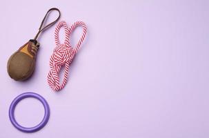 Textile toy, rope for playing with animals on a purple background, top view. photo