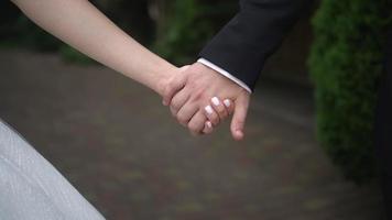 il sposa e sposo hold mani video