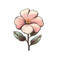 Cute pink flower hand drawn element, perfect for decorating  Valentine Day or Mother Day card. png