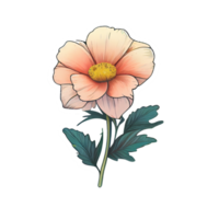 lindo elemento desenhado à mão de flores, perfeito para decorar o dia dos namorados ou o cartão do dia das mães. png