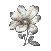 lindo elemento desenhado à mão de flores, perfeito para decorar o dia dos namorados ou o cartão do dia das mães. png