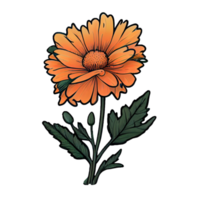 Cute orange flower hand drawn element, perfect for decorating  Valentine Day or Mother Day card. png