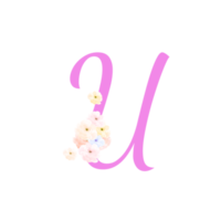 Valentine  Alphabet, 14 February, Floral Letter Design png