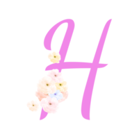 Valentine  Alphabet, 14 February, Floral Letter Design png