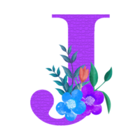 clipart floral del alfabeto, diseño de imágenes prediseñadas de letras botánicas png