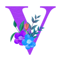 bloemen alfabet clip art, botanisch brief clip art ontwerp png