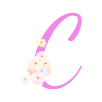 Valentine  Alphabet, 14 February, Floral Letter Design png