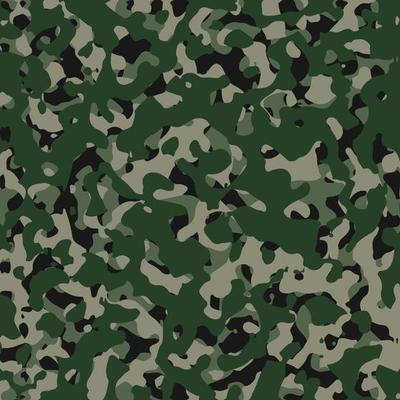 Army Camouflage Vector Art, Icons, and Graphics for Free Download