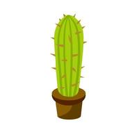 Cactus in pot. House plant. Green succulent. Flat cartoon illustration isolated vector