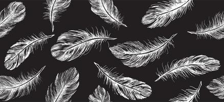 Hand drawn feather on white background vector