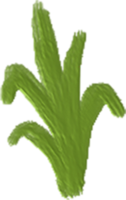Hand drawn Oil Painting Plants png