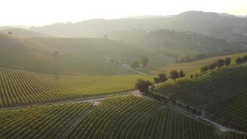 agricultura de vinhedos em barolo vista aérea em langhe, piemonte video