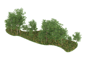 forêt réaliste isolée sur fond transparent. rendu 3d - illustration png