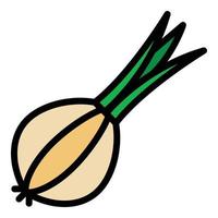 Farm onion icon color outline vector