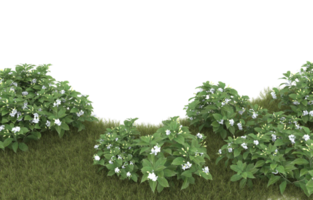 Realistic foliage isolated on transparent background. 3d rendering - illustration png