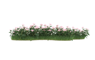 Realistic foliage isolated on transparent background. 3d rendering - illustration png