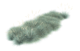 Realistic foliage isolated on transparent background. 3d rendering - illustration png