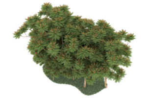 floresta realista isolada em fundo transparente. renderização 3D - ilustração png