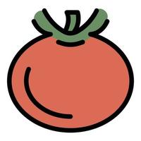 vector de esquema de color de icono de tomate ecológico