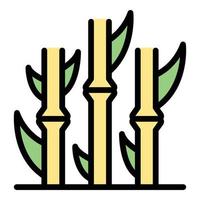 Sugar plant icon color outline vector