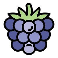 Ripe blackberry icon color outline vector