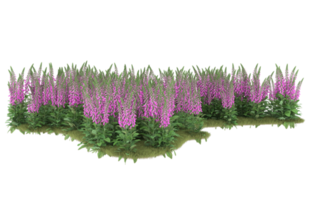 Realistic foliage isolated on transparent background. 3d rendering - illustration png