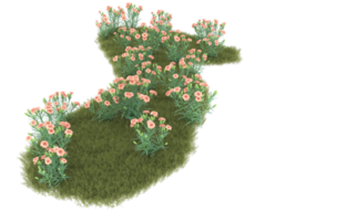 Realistic foliage isolated on transparent background. 3d rendering - illustration png