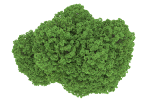Realistic forest isolated on transparent background. 3d rendering - illustration png