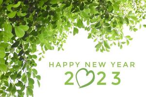 'HAPPY NEW YEAR 2023' in green color with ficus branches and leaves background, concept for greeting invitation card and happy new year 2023, happy life. photo