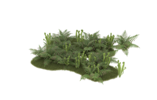 Realistic foliage isolated on transparent background. 3d rendering - illustration png